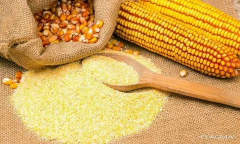 تصویر 2 از خرید ارد ذرت + بهترین قیمت